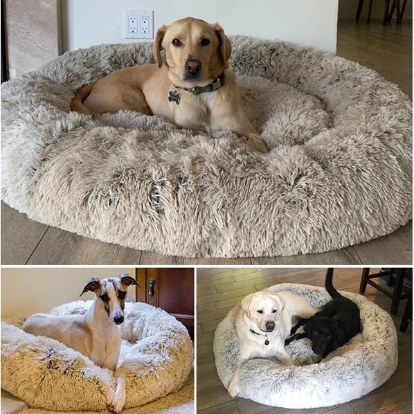 Cama Nuvem Para Cães E Gatos 100x100 Redonda Fofinha Pet