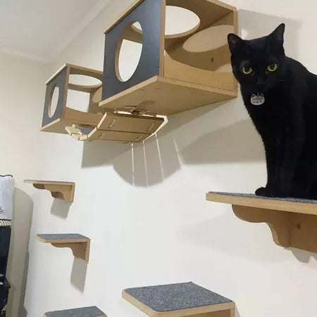 Playground Para Gato Com 9 Peças Reforçadas