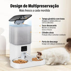 Dispensador Automático De Alimentos Para Pet 6L