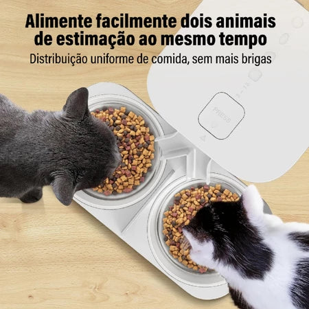 6L Elevação ajustável Dispensador Automático De Alimentos Para Cães Gato - Bivolt