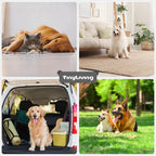 Cama Cachorro Sofá Ortopédica