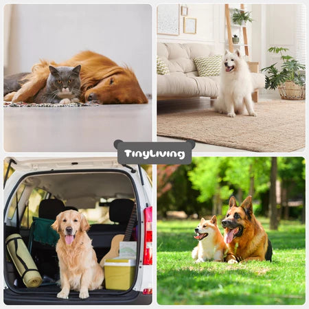 Cama Cachorro Sofá Ortopédica Travesseiro Osso, Água Resistente, Anti-Derrapante - Raças Médias/Grandes